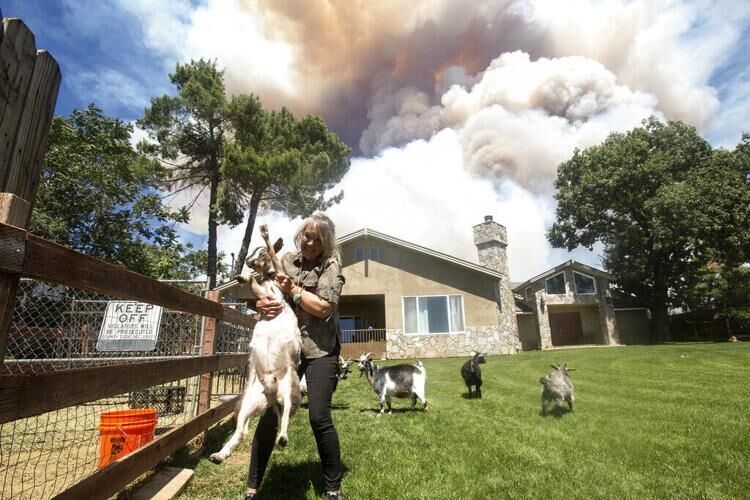 Top pics from the weekend: California Wildfires and more